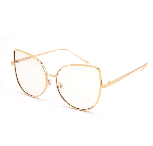 <transcy>Gato aviador</transcy>